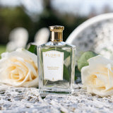 White Rose