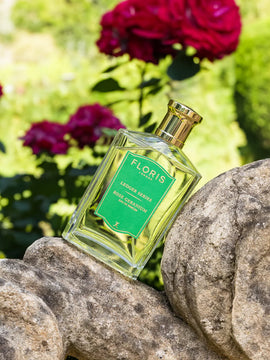Rose Geranium